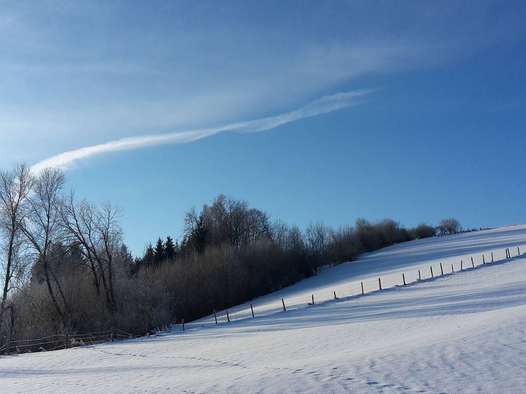 Appartement entier, 4 Michael Weiß Résidence de vacances confortable in Regen (Ostbayern), Bavière Orientale
