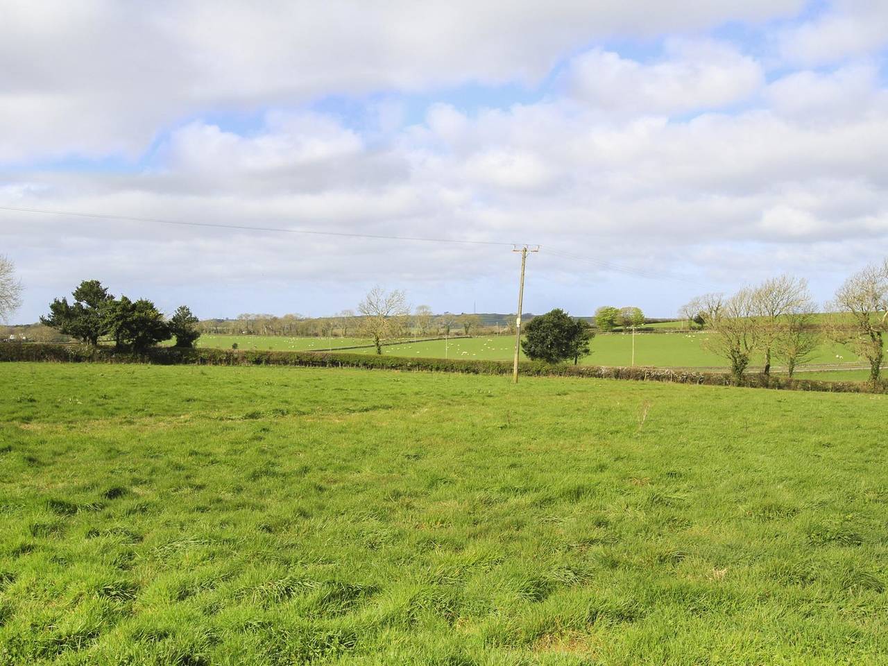Partridge Cottage in Isle of Anglesey