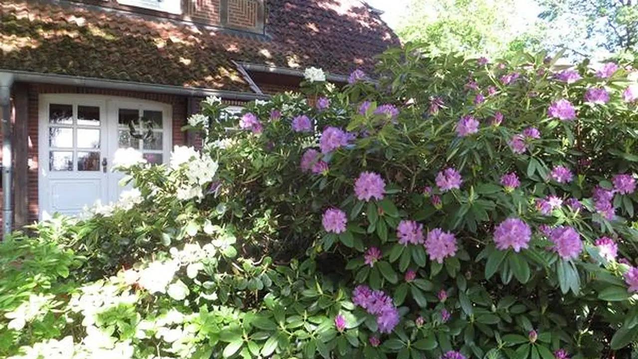 Appartement de vacances entier, Ferienwohnung für 3 Personen (48 m²) in Bispingen in Bispingen, Nordheide