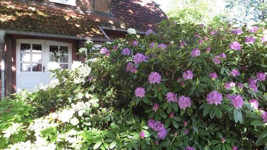 Ferienwohnung für 4 Personen, mit Garten in der Lüneburger Heide - 3