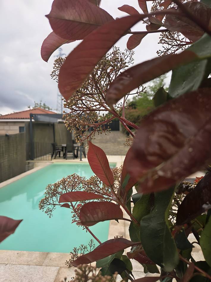 Casa de férias para 5 pessoas, com animais de estimação no Gerês