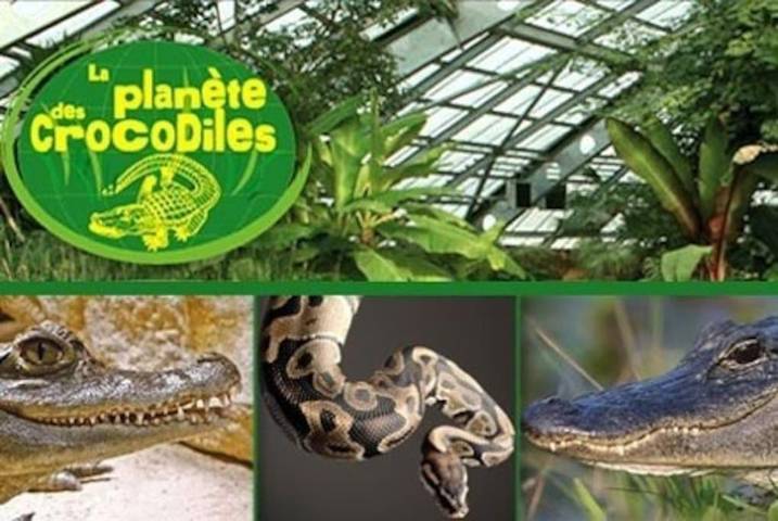 Location de vacances pour 8 personnes, avec vue et jardin à Valdivienne - 3