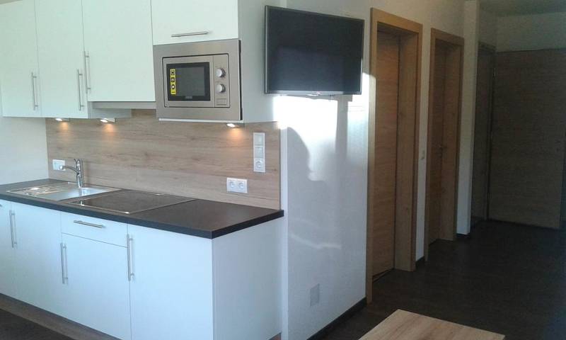 Ferienwohnung für 6 Personen, mit Garten und Ausblick, mit Haustier in Ladis - 3