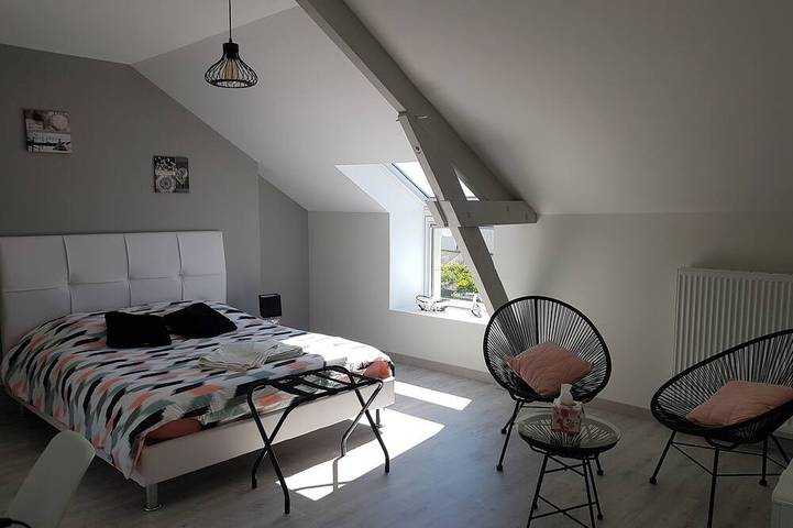 Gîte pour 4 personnes, avec piscine à Theneuil - 4