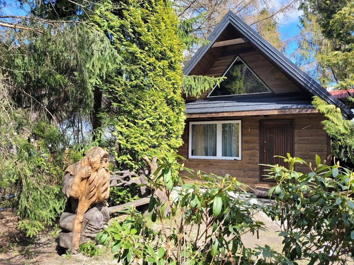 Księżycowy Domek Nad Potokiem in Wisła, Karpaty (Polska)