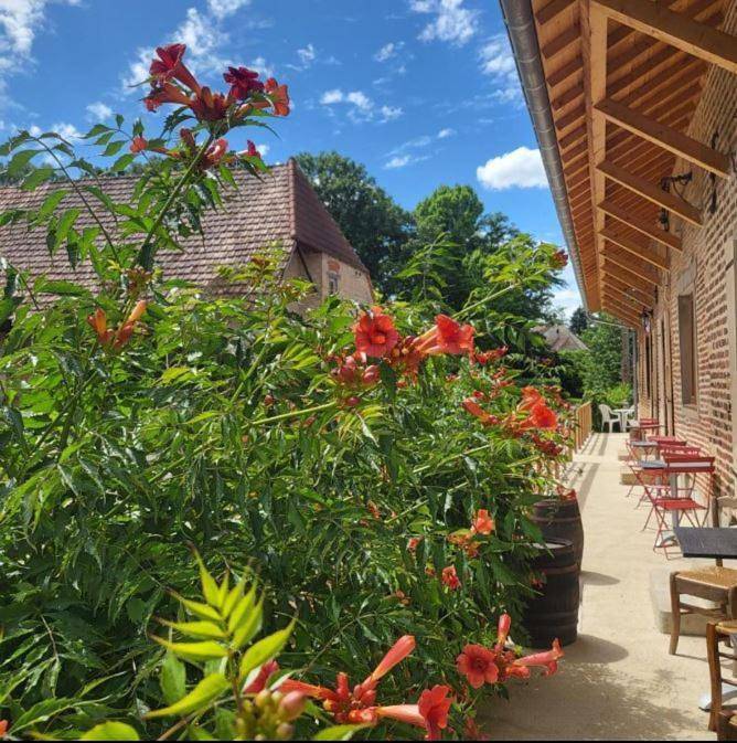 Gîte pour 3 personnes, avec jardin ainsi que vue et piscine à La Chapelle-Saint-Sauveur - 4