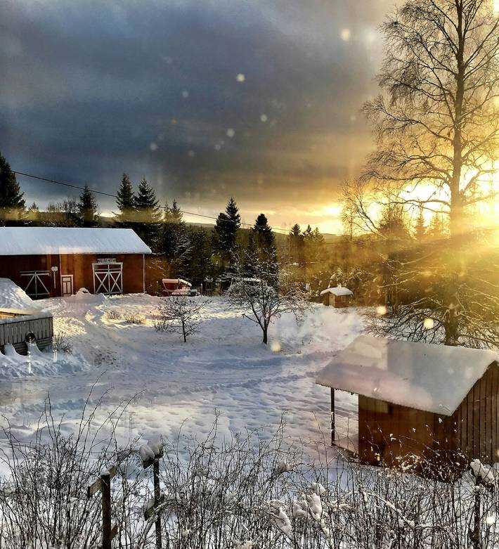 Ferienhaus für 5 Personen, mit Terrasse, mit Haustier