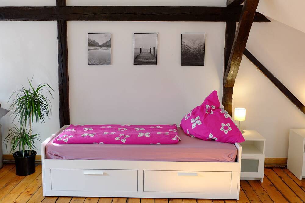 Ganze Wohnung, Heidel-home 1Raum Studio: zentrale Villa von 1926 für Singles/Gruppen/Familie in Weststadt (Heidelberg), Heidelberg