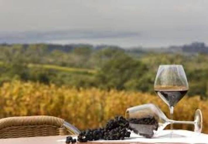 Holiday home for 7 people, with garden and hot tub in Melbourne