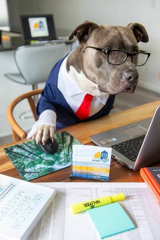 Ganze Wohnung, Beachfront Getaway, Mermaid Suite, 🐶 💙 in Norfolk (VA), Chesapeake Bay