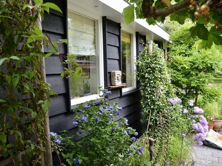 Ferienhaus für 2 Personen, mit Terrasse in Bergen (Nordholland) - 3