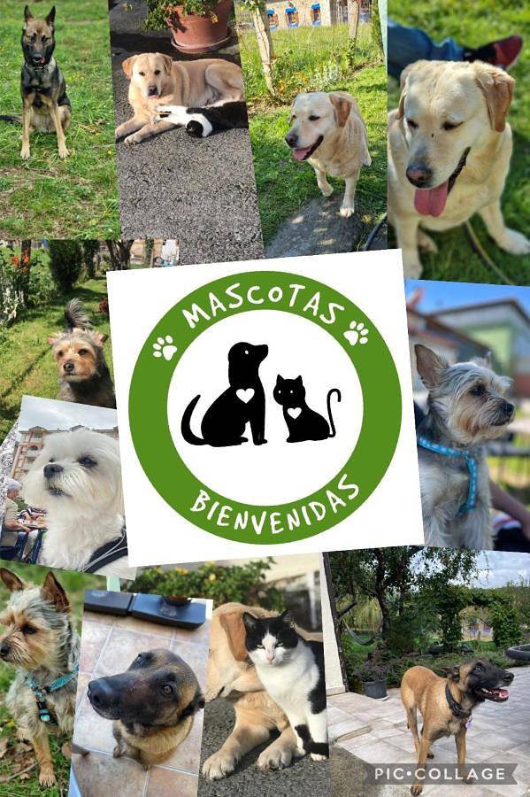 Maison de campagne pour 4 personnes, avec terrasse, animaux acceptés à Castro-Urdiales - 2