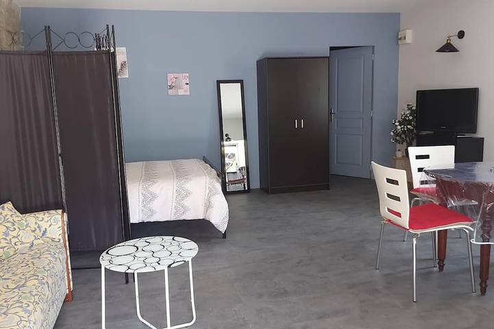 Gîte pour 3 personnes, avec jardin à Arbois (homonymie) - 3