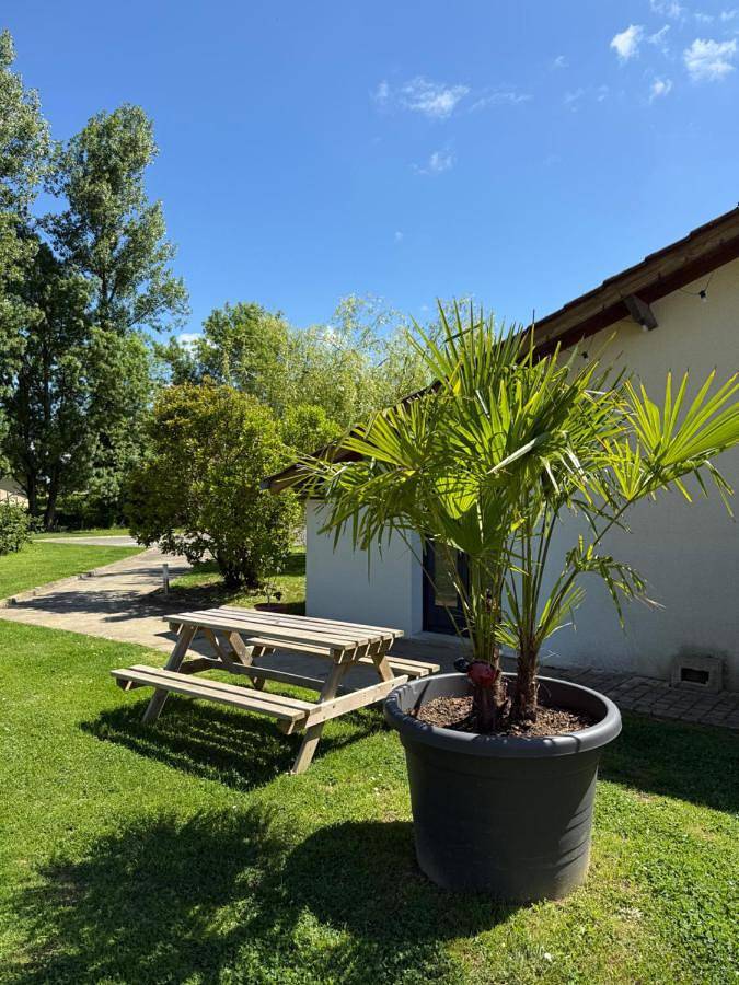 Chambre d’hôte pour 5 personnes, avec vue et jardin dans l' Ain - 4