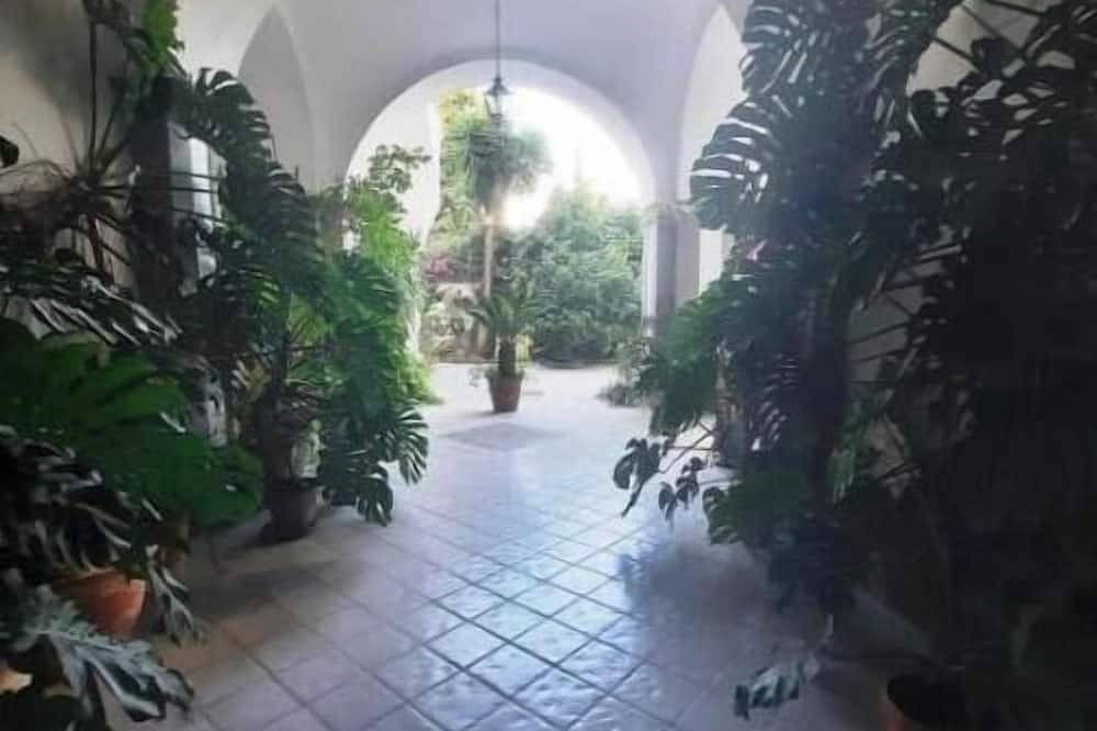 La Casa delle Camelie | Double Room with Patio Near the Sea in Meta, Sorrento Coast