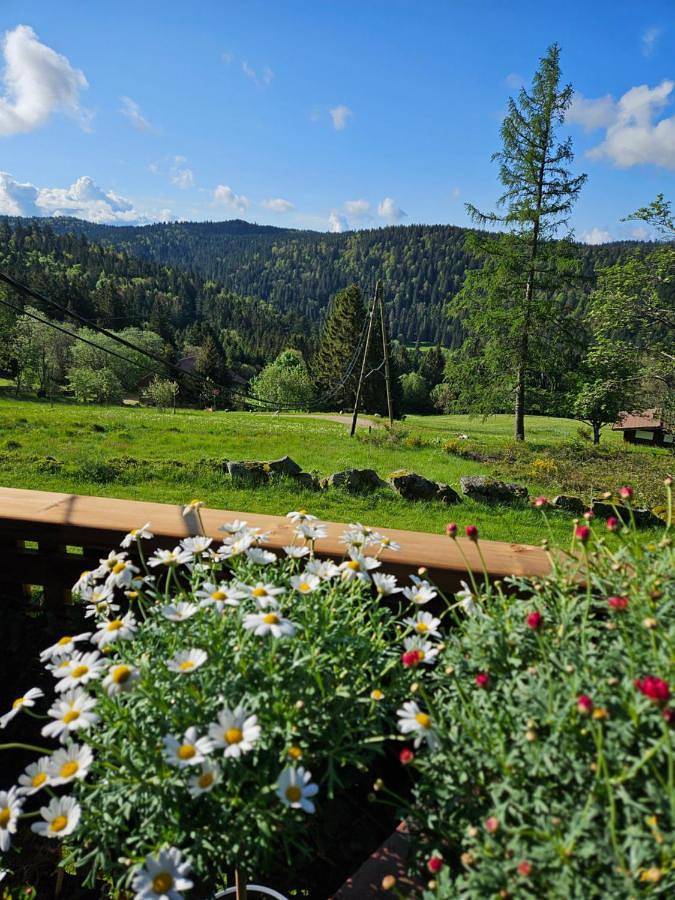 Chalet Perle des Hauts in Gérardmer, Parc naturel régional des Ballons des Vosges