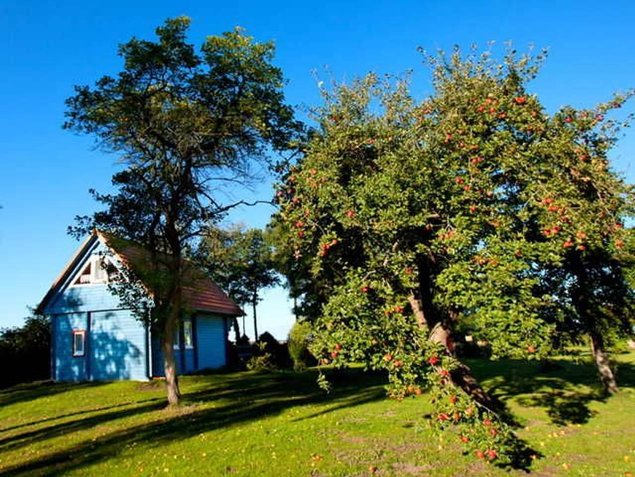Ferienhaus Kranichblick am Bodden - Ferienhaus Kranichblick in Neuendorf-Heide, Saal