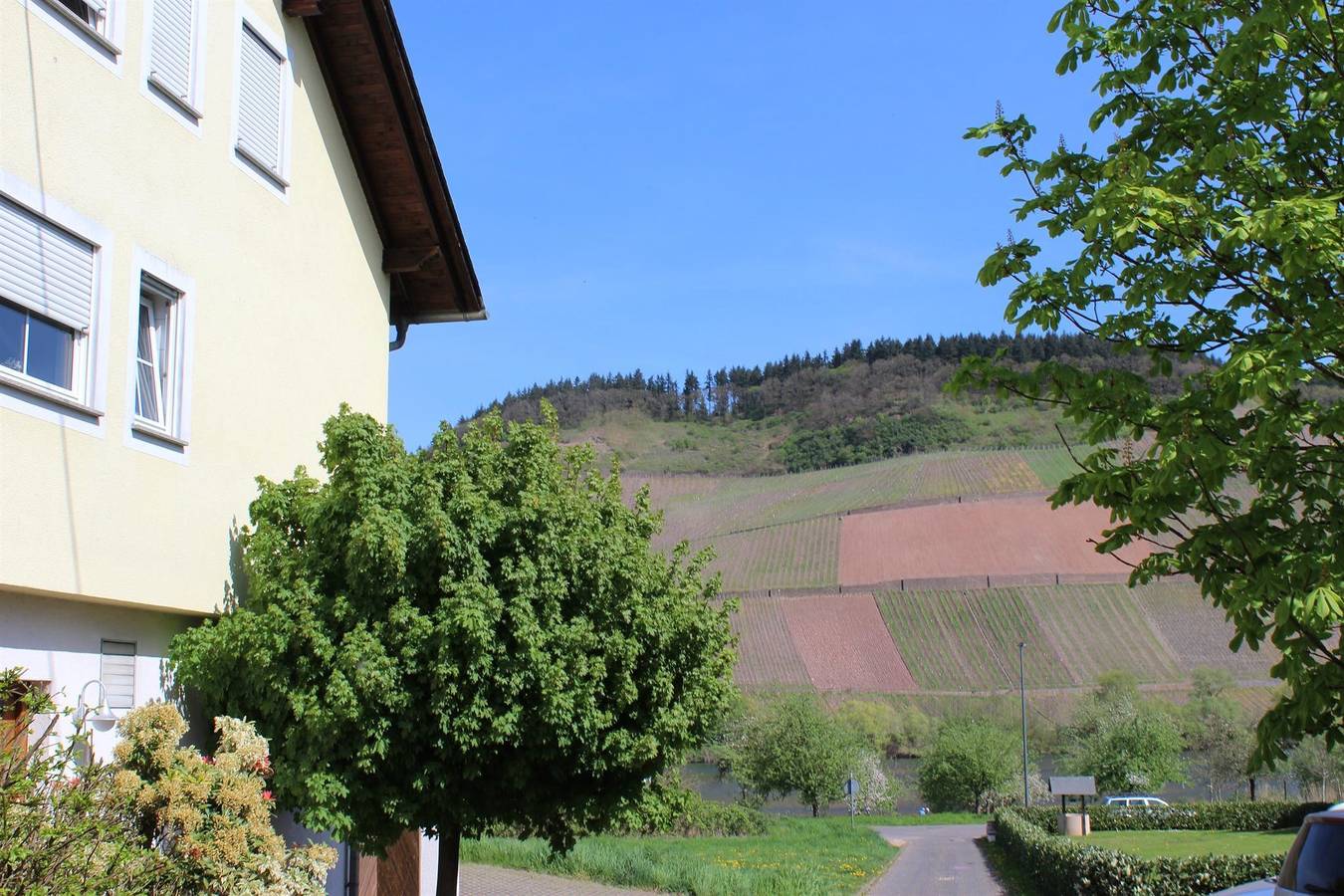 Ganze Ferienwohnung, Ferienweingut Hansjosten in Longuich, Moseleifel