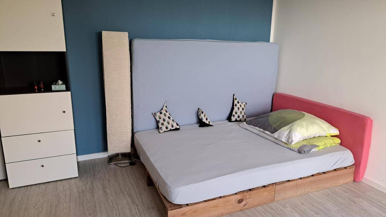 Ganze Wohnung, Wohnung in den Weinbergen in Wachenheim, Pfälzer Rheinebene