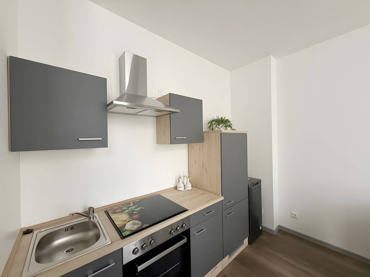 Ganze Wohnung, Apartment 'Murihaus' mit privater Terrasse und Wlan in Aue, Erzgebirge