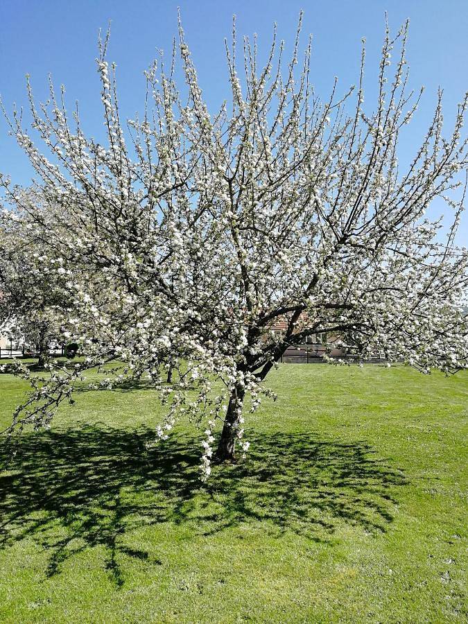 Appartement entier, Studio à la campagne dans corps de ferme rénovée in Chancey, Haute-Saône