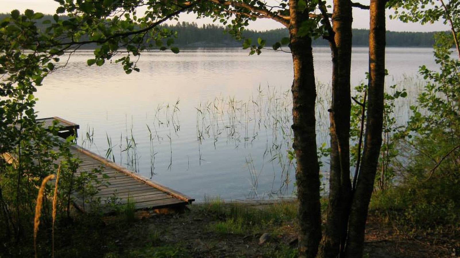 1785 Kotila, Hirvensalmi, Niederlande in Hirvensalmi, Südsavo