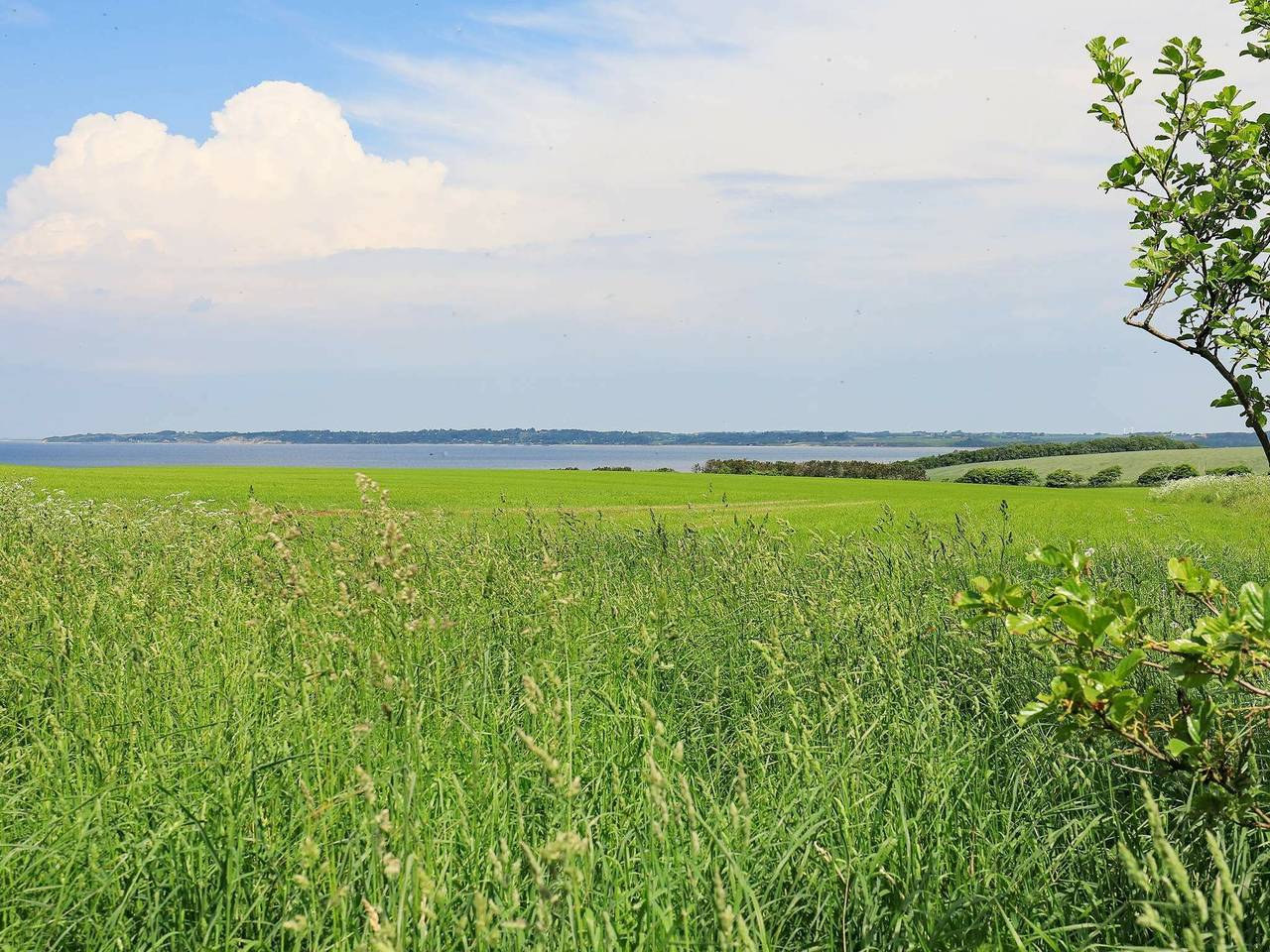 20 Personen Ferienhaus in Vinderup-By Traum in Ejsingholm, Limfjord in Westjütland