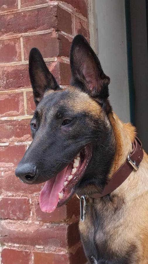Chambre d’hôte pour 3 personnes, avec jardin et vue à Équemauville - 2