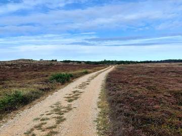 Ferienhaus für 8 Personen in Henne Strand, Filsø See, Bild 4
