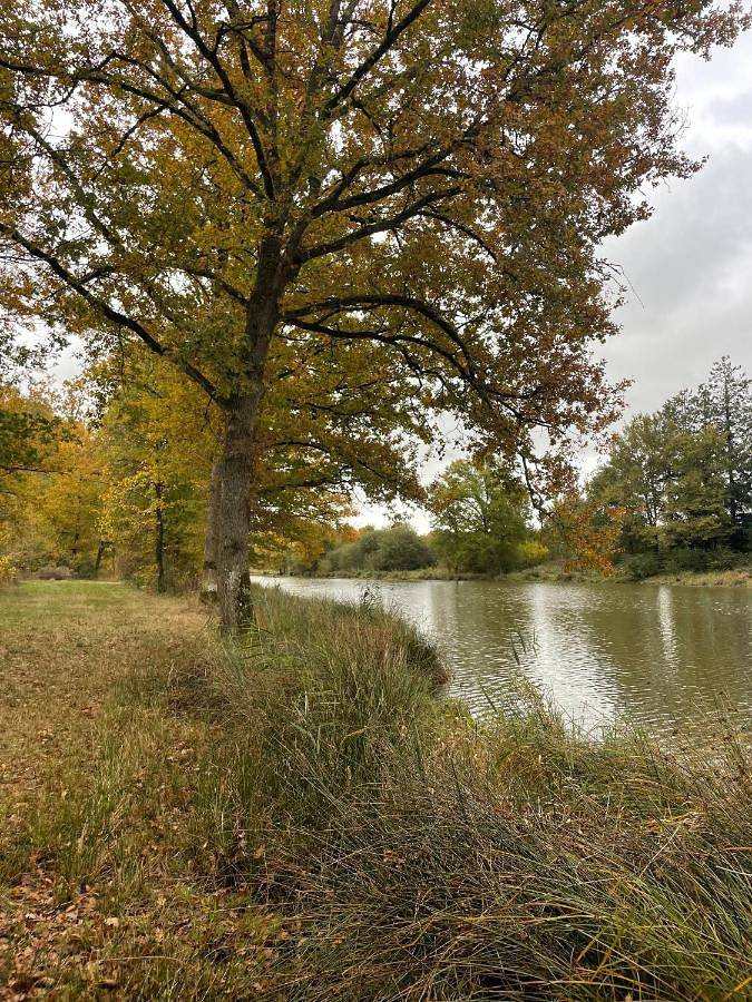 Location de vacances pour 4 personnes, avec jacuzzi ainsi que piscine et jardin à Combreux - 3