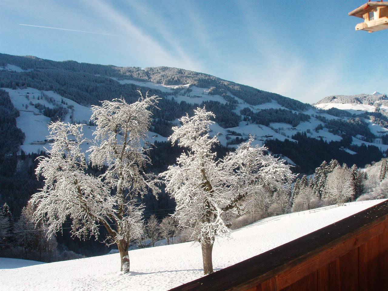 Appartement "Wiedersbergerhorn" in Alpbach, Kaisergebirge