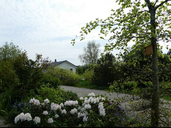 Ferienhaus für 4 Personen, mit Terrasse und Garten sowie Seeblick in Schlei - 2