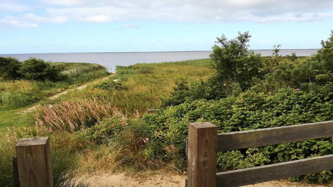 Ferienhaus für 4 Personen (40 m²) in Skjern in Skjern, Ringkøbing Fjord