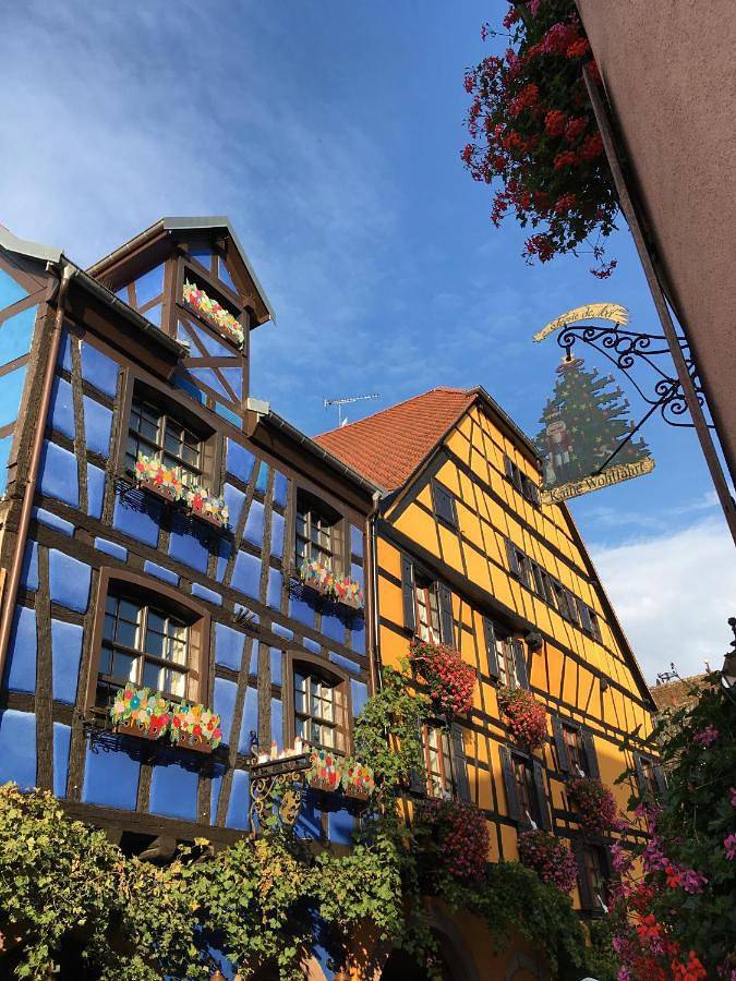 Ganze Wohnung, Studio Apartment in Riquewihr, Regionaler Naturpark Belchen der Vogesen