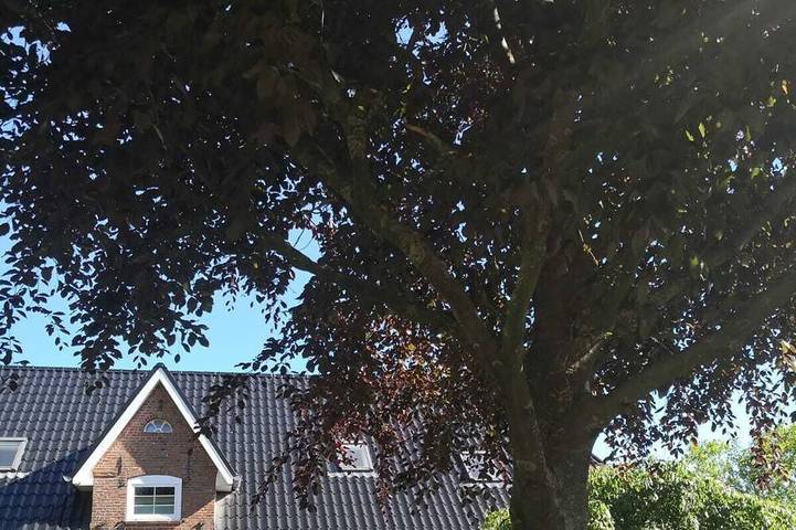 Ferienwohnung für 5 Personen, mit Terrasse und Garten in Klixbüll