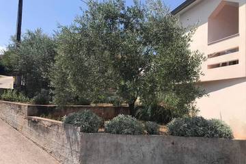 Smještaj Za Odmor za 4 Osobe u Lukoran, Otok Ugljan, Fotografija 4