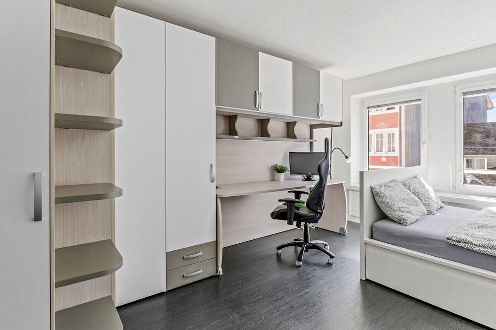 Ganze Wohnung, Stadtzentrum_Kaffee_Arbeitsplatz_Waschmaschine in Winterthur, Kanton Zürich