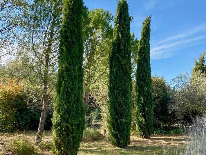 Encantadora casa de campo con piscina – 637 Sat in Saint-Saturnin-lès-Apt, Parque natural regional del Luberon