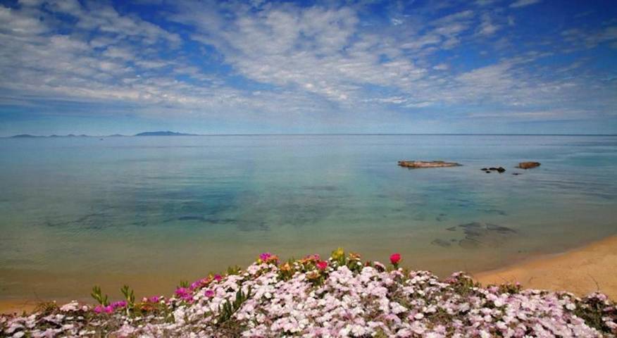 Appartamento per 2 persone, con panorama e giardino, con animali domestici in Castelsardo