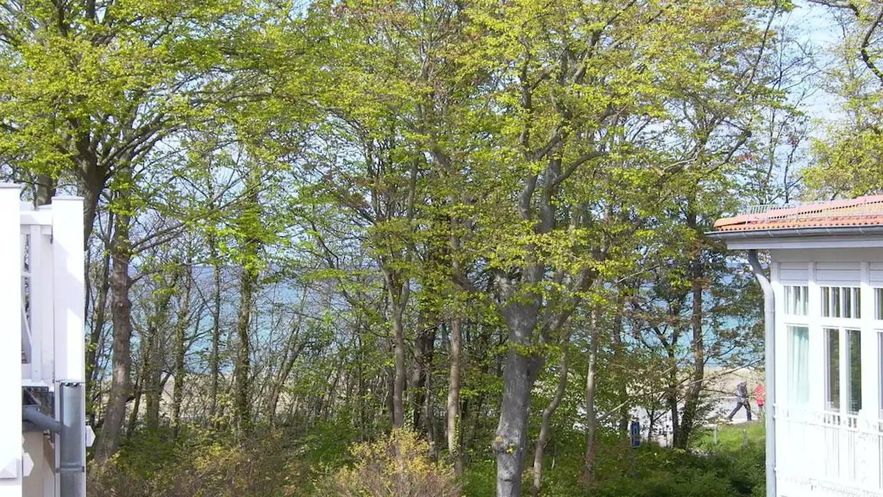 Ferienhaus für 2 Personen (45 m²) in Ostseebad Kühlungsborn in Kühlungsborn Weststrand, Kühlungsborn