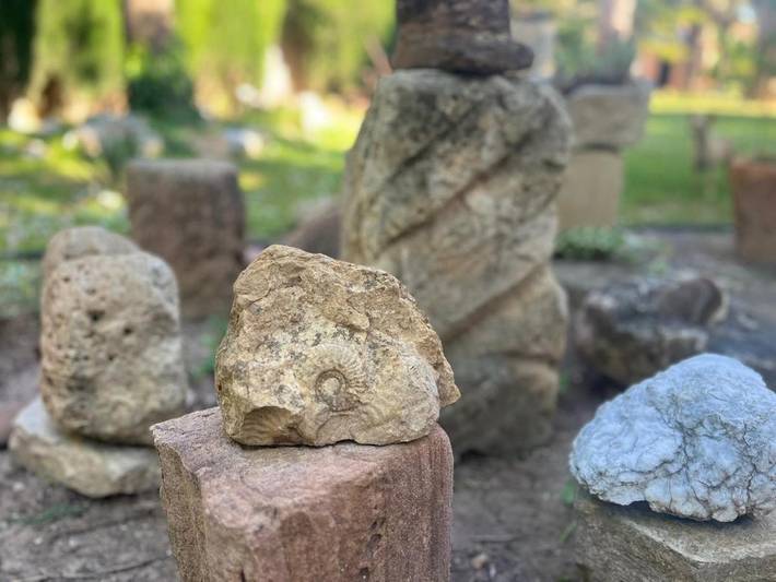 Casa rural para 6 personas, con vistas y jardín, Se admiten mascotas en Campo de Belchite - 2