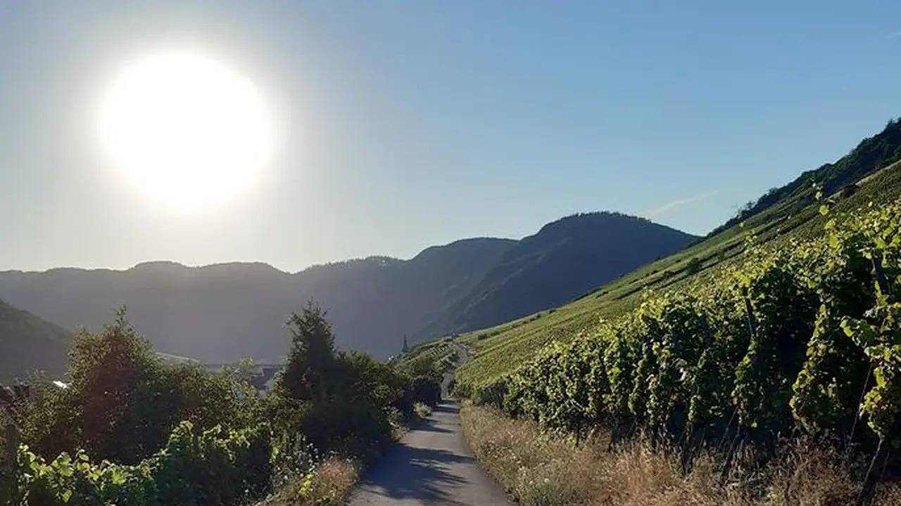 Apartamento vacacional entero, Ferienwohnung für 2 Personen (24 m²) in Ediger-Eller in Ediger-Eller, Cochem-Zell