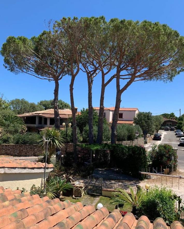 Chambre d’hôte pour 2 personnes, avec jardin et terrasse à San Teodoro - 3