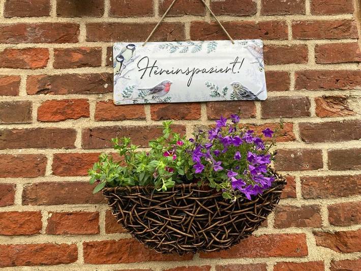 Ferienhaus für 2 Personen, mit Terrasse in Pilsum - 3