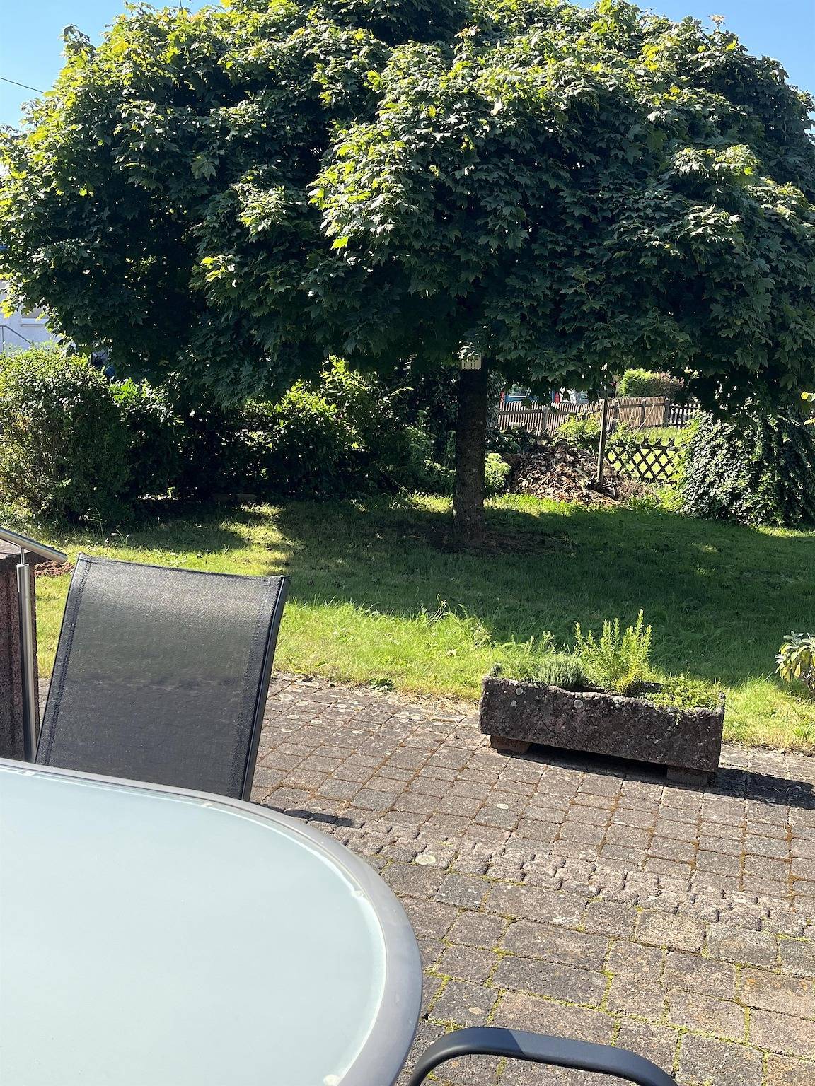 Ganze Ferienwohnung, Ferienhaus Vogelsang in Wadern, Saar-Nahe-Bergland