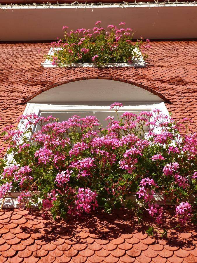 Gîte pour 2 personnes, avec vue et jardin à Villabassa - 2