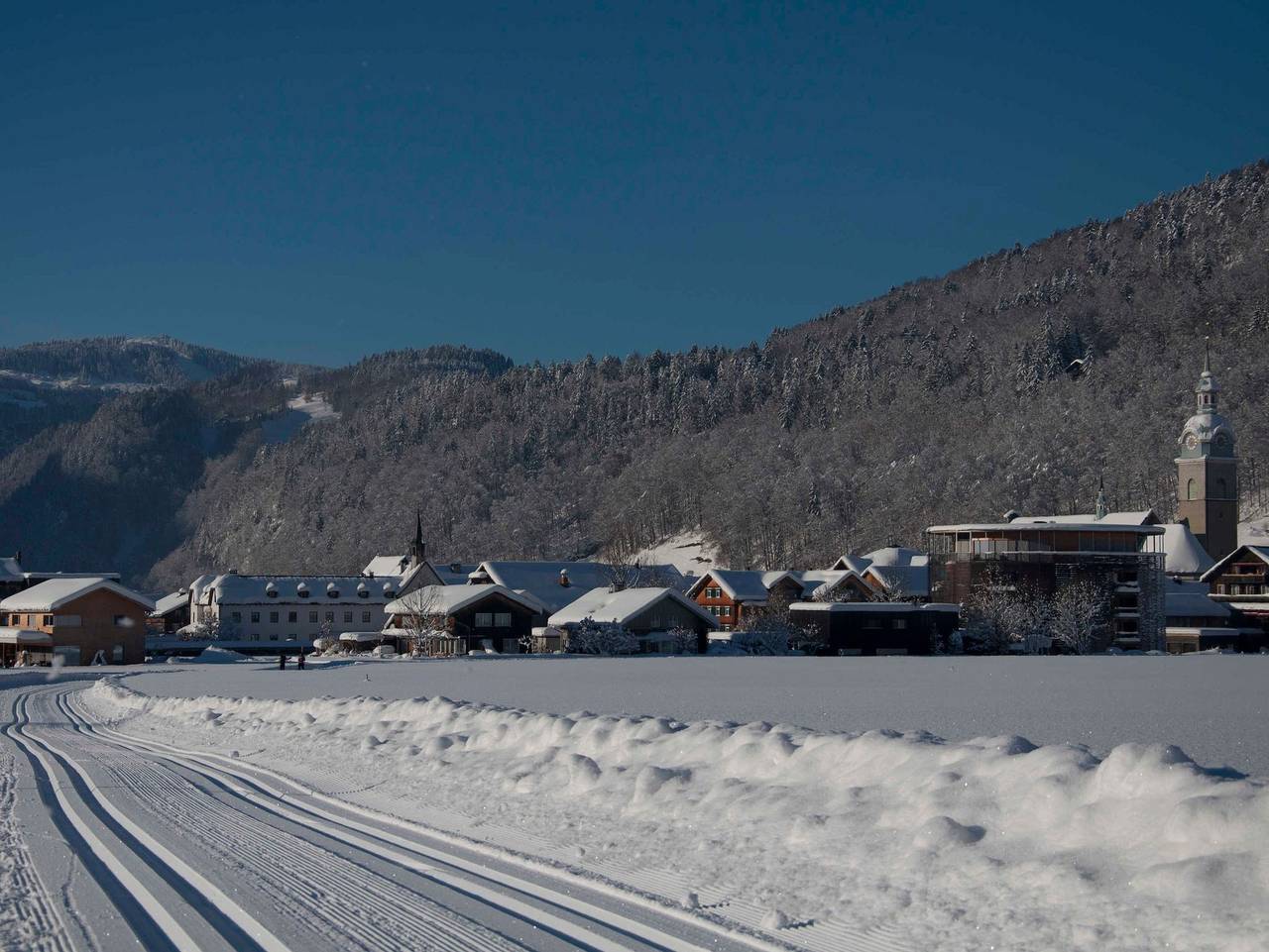 Ganze Ferienwohnung, Apartment Isabella und Elisabeth - Apartment 110m² in Bezau, Bregenzerwald
