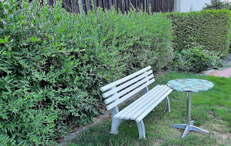 Ganze Ferienwohnung, Appartement/Fewo, Dusche, Wc, für 4-5 Pers. in Celle, Aller-Leine-Tal