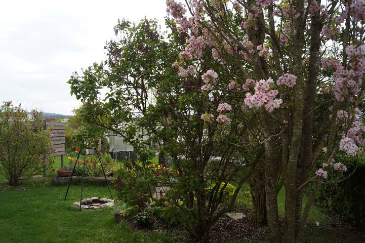 Location de vacances pour 4 personnes, avec jardin ainsi que balcon et sauna dans Dinkelsbuhl - 3