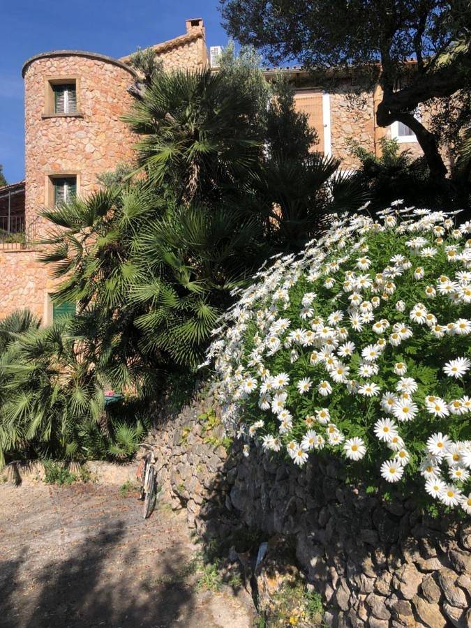 Hôtel pour 2 personnes, avec jardin et piscine à Estellencs - 3